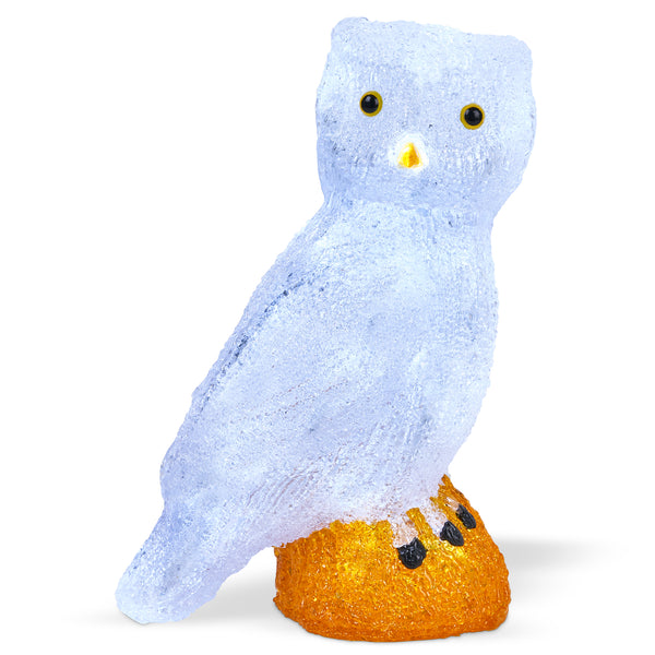 Led Acrylic Owl Decoration Lights for Indoor & Outdoor Use
