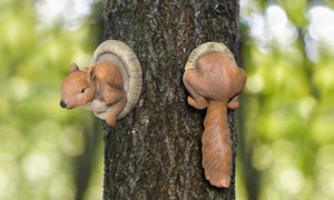 Squirrel Tree Peaker