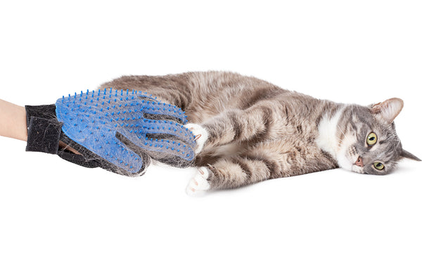 Pet Grooming Glove