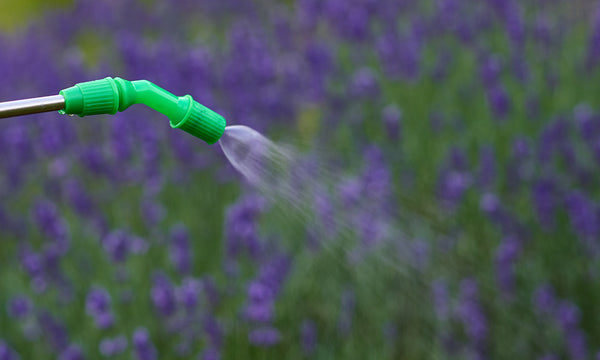 Pump Action Bottle Garden Pressure Sprayer