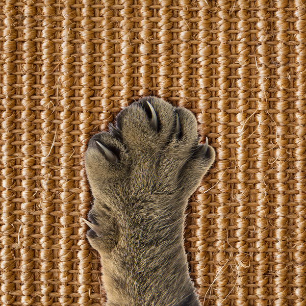 Cat Scratcher Mat