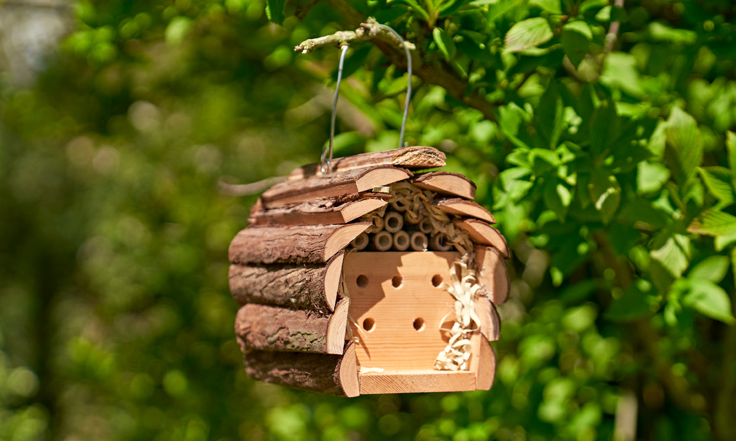 Wooden Insect House