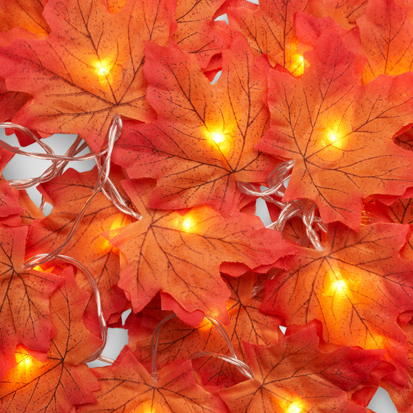 Maple Leaf Autumn Light