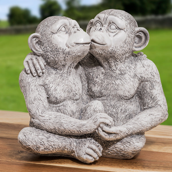 Kissing Monkies
