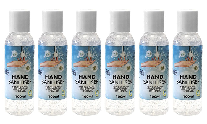 Hand Sanitiser x 6