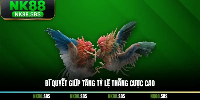 Bí quyết giúp tăng tỷ lệ thắng cược cao