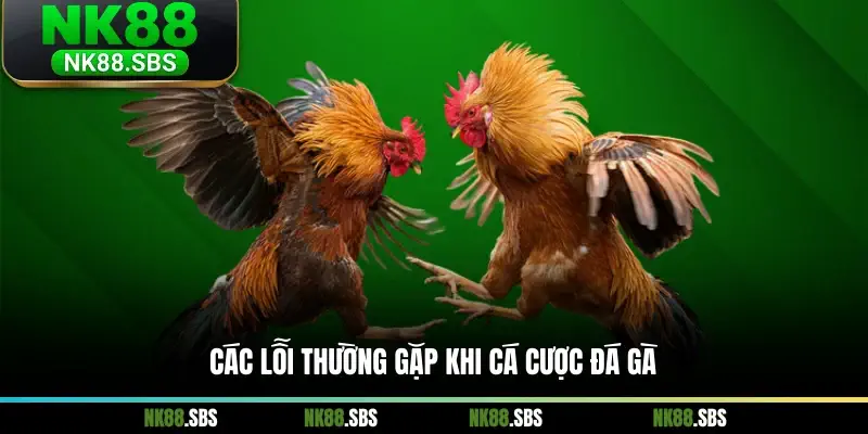 Các lỗi thường gặp khi cá cược đá gà