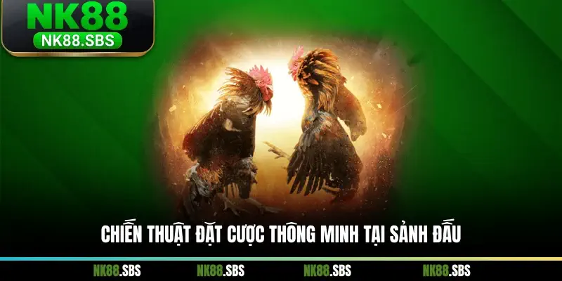 Chiến thuật đặt cược thông minh tại sảnh đấu Chiến thuật đặt cược thông minh tại sảnh đấu