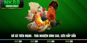 Đá Gà Trên Mạng - Trải Nghiệm Đỉnh Cao, Siêu Hấp Dẫn