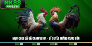Mẹo Chơi Đá Gà Campuchia - Bí Quyết Thắng Cược Lớn