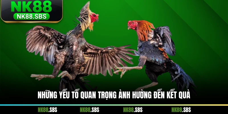 Những yếu tố quan trọng ảnh hưởng đến kết quả
